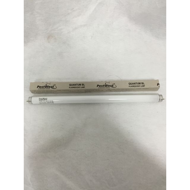 bulb15w18.jpg