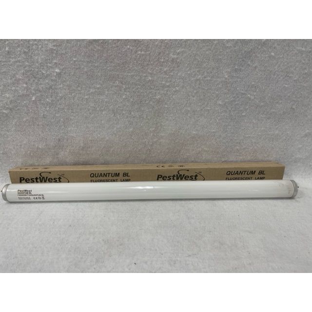 bulb40w24_091023.jpg